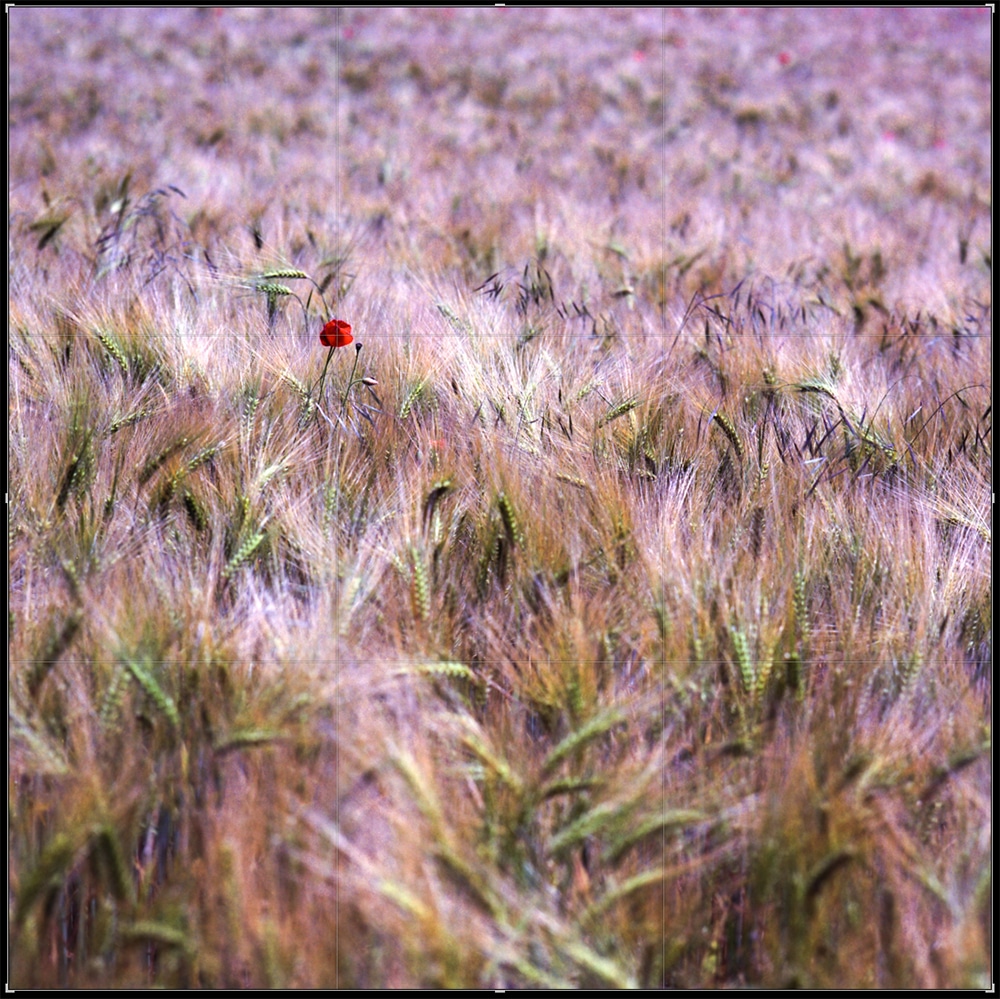 Composition