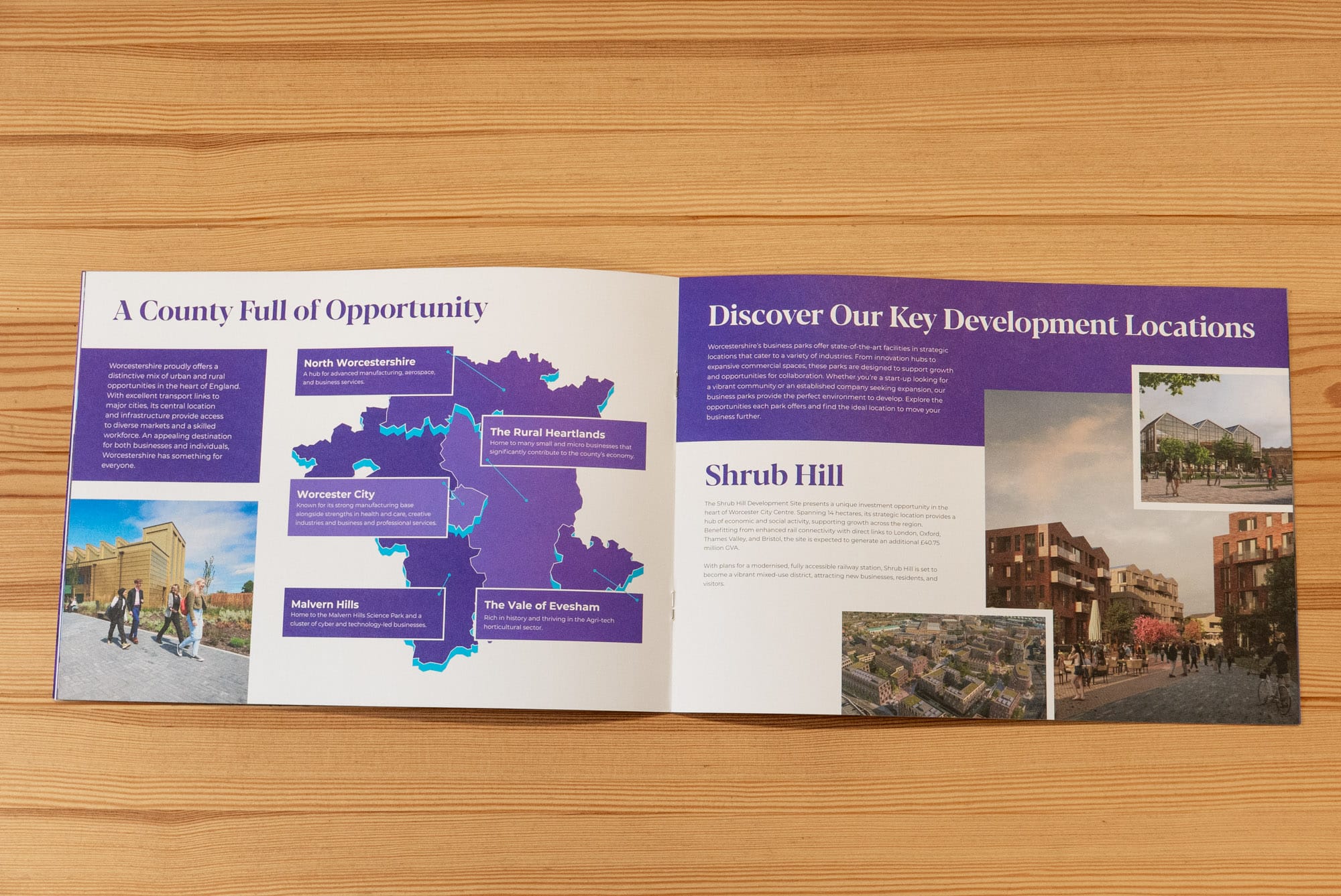 Inward Investment - Brochure Design